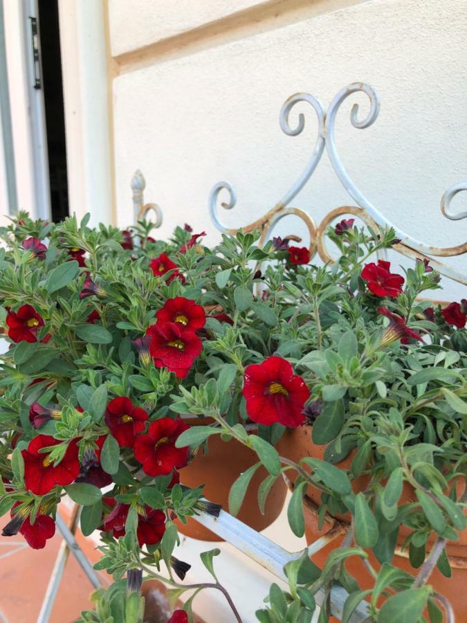 B & B Da Ferro Massarosa Kültér fotó